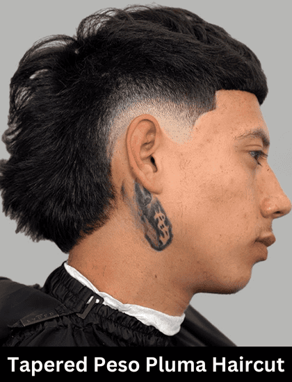 tapered peso pluma haircut